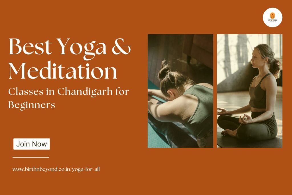 Best Yoga and Meditation Classes in Chandigarh for Beginners