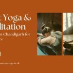 Best Yoga and Meditation Classes in Chandigarh for Beginners